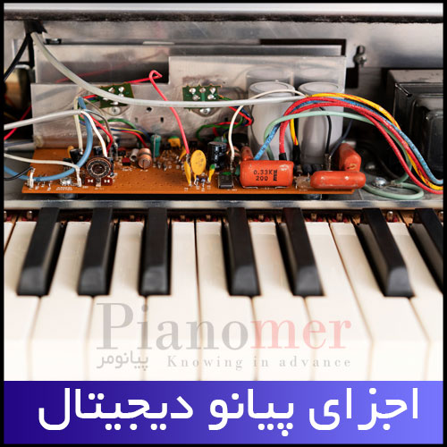 اجزای پیانو دیجیتال به همراه معرفی اصطلاحات پیانو دیجیتال مثل پلی فونی، حساسیت لمسی | پیانومر